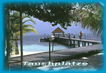 Zu den Tauchgebieten